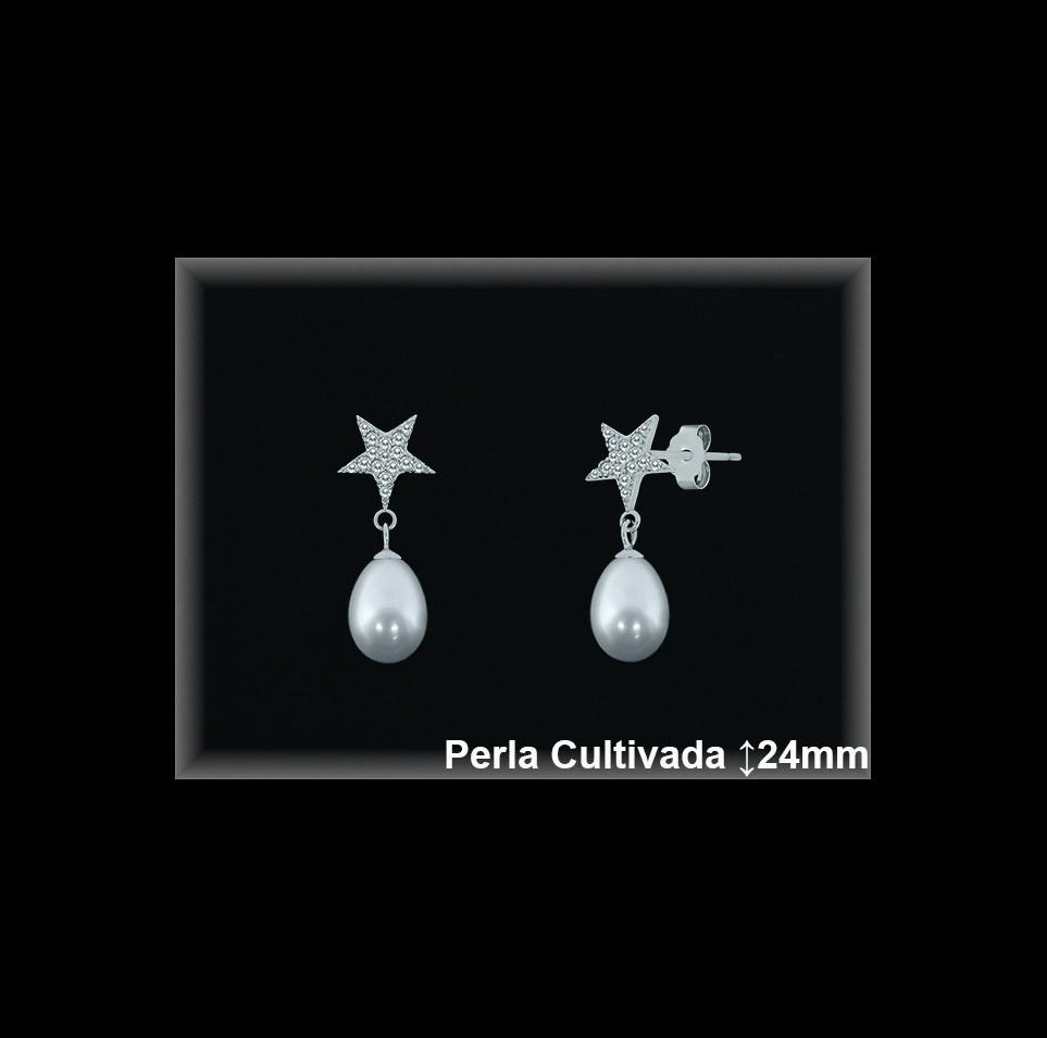 Pendientes de Plata al Por Mayor ref R8632  Mayorista de pendientes de Plata