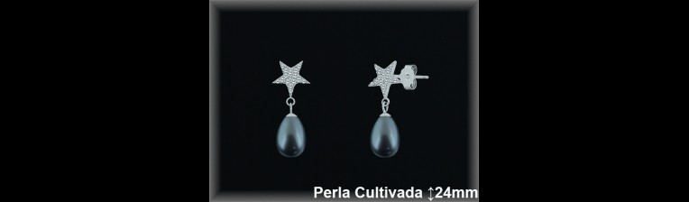 Pendientes de Plata al Por Mayor ref R8632G  Mayorista de pendientes de Plata