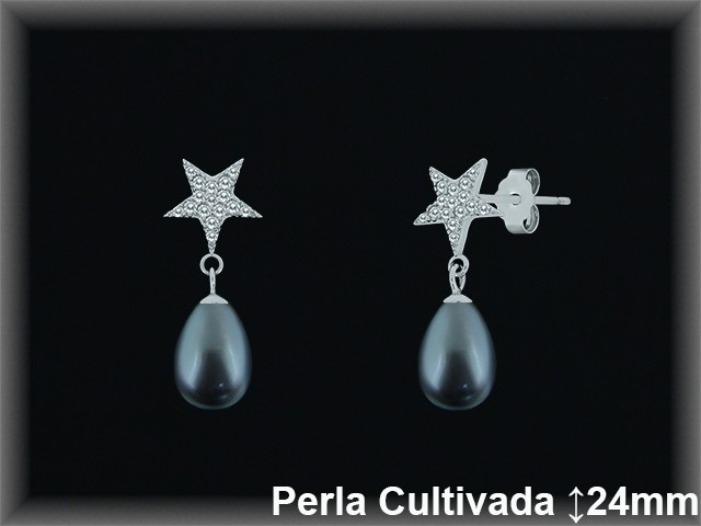 Pendientes de Plata al Por Mayor ref R8632G  Mayorista de pendientes de Plata