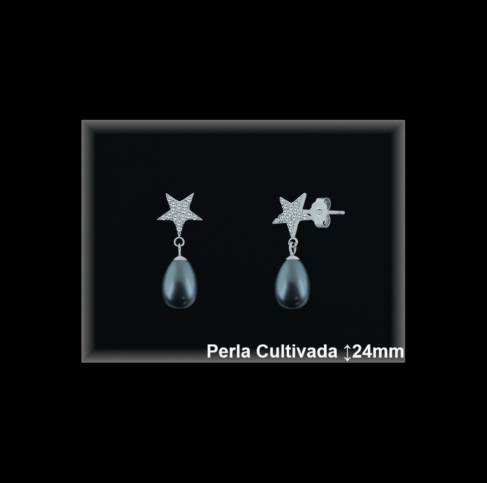 Pendientes de Plata al Por Mayor ref R8632G  Mayorista de pendientes de Plata