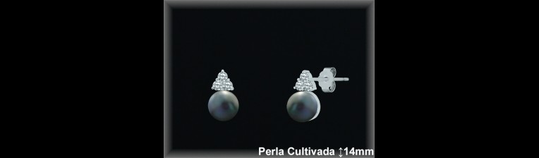 Pendientes de Plata al Por Mayor ref R8633G  Mayorista de pendientes de Plata