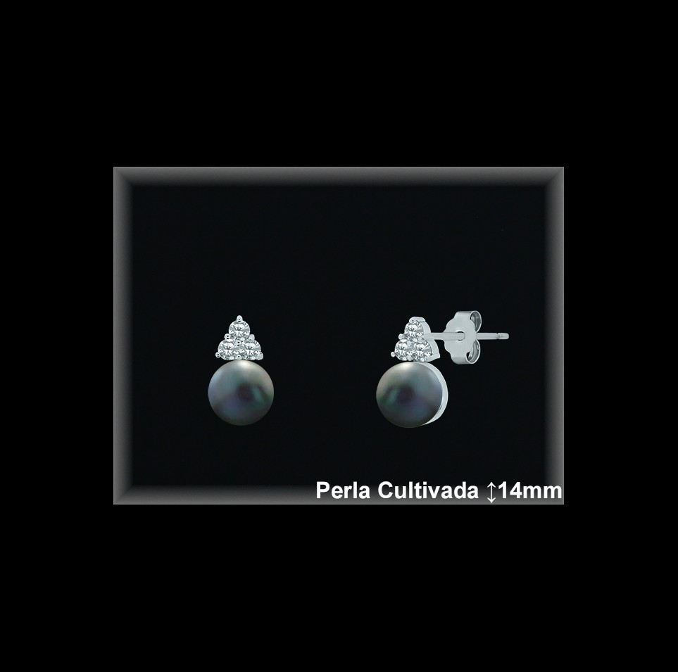 Pendientes de Plata al Por Mayor ref R8633G  Mayorista de pendientes de Plata