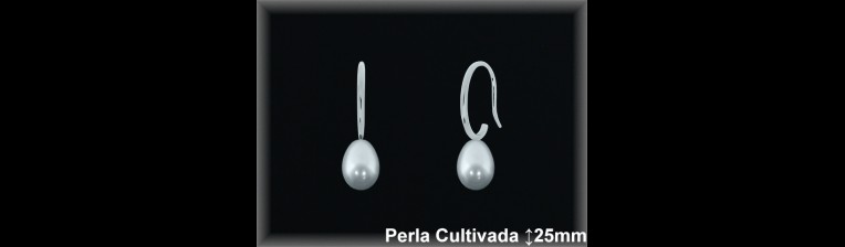Pendientes de Plata al Por Mayor ref R8636  Mayorista de pendientes de Plata