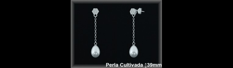 Pendientes de Plata al Por Mayor ref R8639  Mayorista de pendientes de Plata