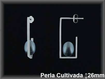Pendientes de Plata al Por Mayor ref R8647G  Mayorista de pendientes de Plata