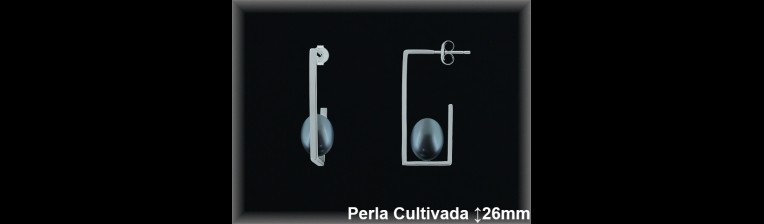 Pendientes de Plata al Por Mayor ref R8647G  Mayorista de pendientes de Plata