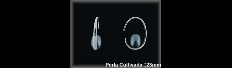 Pendientes de Plata al Por Mayor ref R8648G  Mayorista de pendientes de Plata