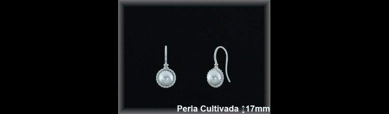 Pendientes de Plata al Por Mayor ref R8649  Mayorista de pendientes de Plata
