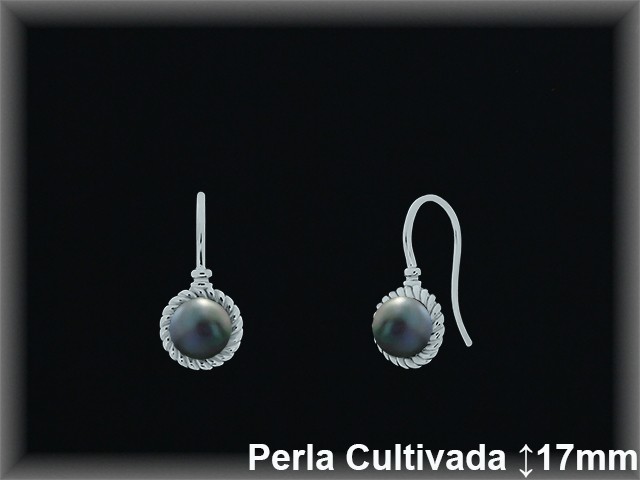 Pendientes de Plata al Por Mayor ref R8649G  Mayorista de pendientes de Plata