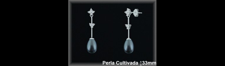 Pendientes de Plata al Por Mayor ref R8651G  Mayorista de pendientes de Plata