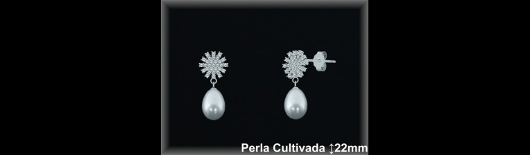 Pendientes de Plata al Por Mayor ref R8675  Mayorista de pendientes de Plata