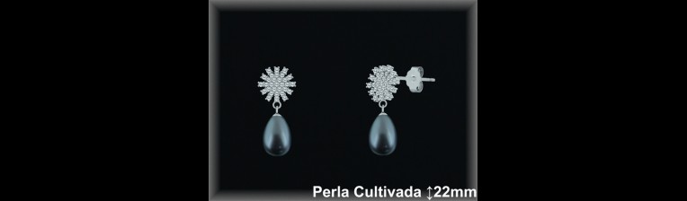 Pendientes de Plata al Por Mayor ref R8675G  Mayorista de pendientes de Plata