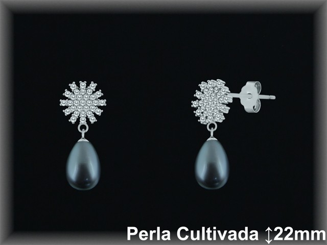 Pendientes de Plata al Por Mayor ref R8675G  Mayorista de pendientes de Plata
