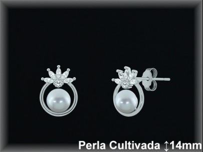 Pendientes de Plata al Por Mayor ref R8664  Mayorista de pendientes de Plata