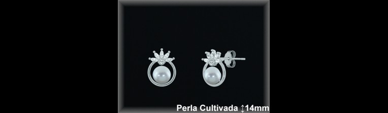 Pendientes de Plata al Por Mayor ref R8664  Mayorista de pendientes de Plata
