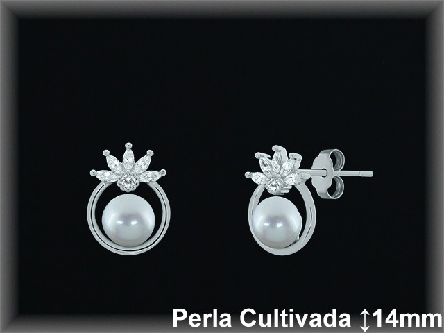Pendientes de Plata al Por Mayor ref R8664  Mayorista de pendientes de Plata