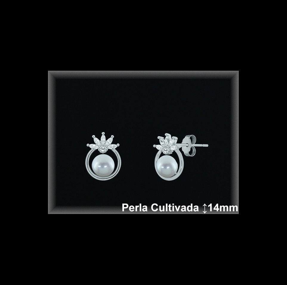 Pendientes de Plata al Por Mayor ref R8664  Mayorista de pendientes de Plata