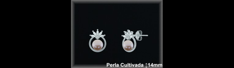 Pendientes de Plata al Por Mayor ref R8664C  Mayorista de pendientes de Plata