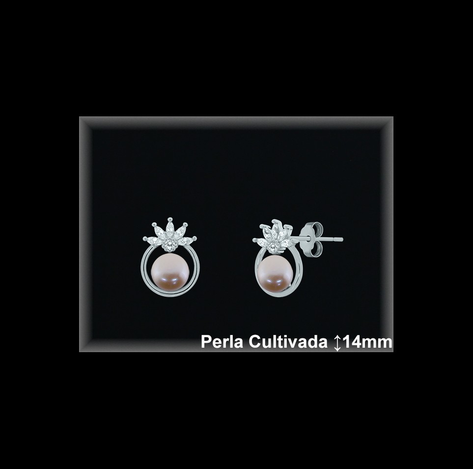 Pendientes de Plata al Por Mayor ref R8664C  Mayorista de pendientes de Plata