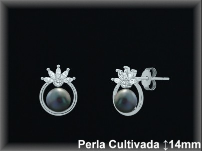 Pendientes de Plata al Por Mayor ref R8664G  Mayorista de pendientes de Plata