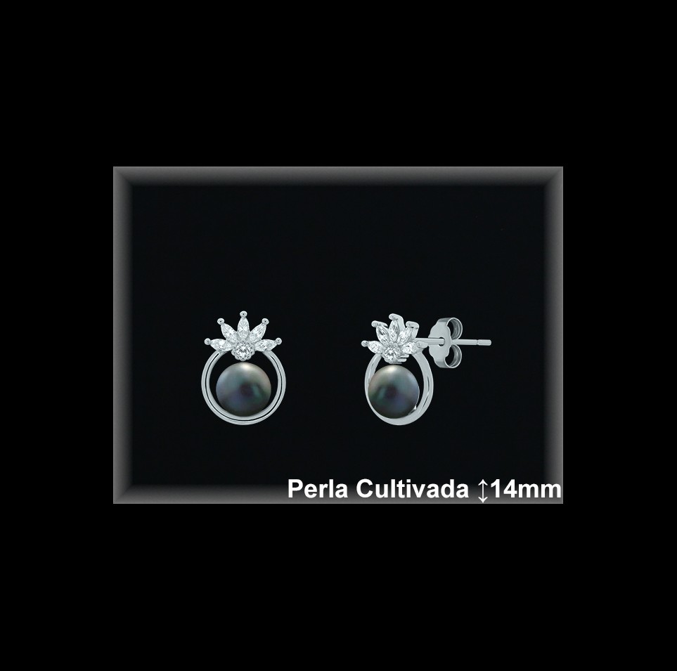Pendientes de Plata al Por Mayor ref R8664G  Mayorista de pendientes de Plata