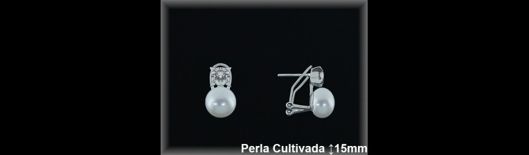 Pendientes Plata al por mayor ref R8528 Mayoristas Plata al por Mayor