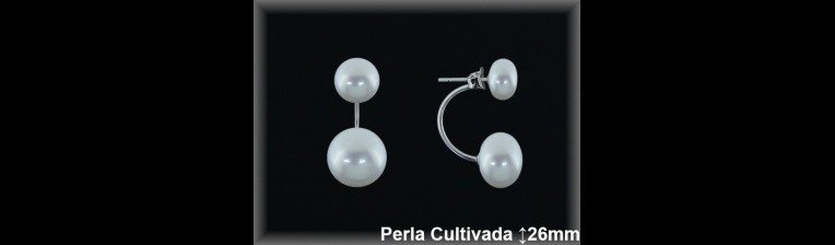 Pendientes Plata al por mayor ref R8578 Mayoristas Plata al por Mayor