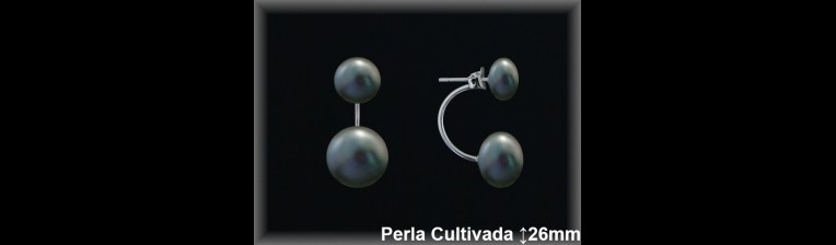 Pendientes Plata al por mayor ref R8578G Mayoristas Plata al por Mayor