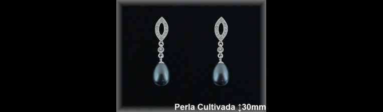 Pendientes Plata al por mayor ref R8628G Mayoristas Plata al por Mayor