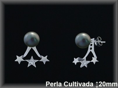 Pendientes Plata al por mayor ref R8629G Mayoristas Plata al por Mayor