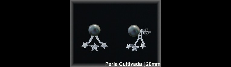 Pendientes Plata al por mayor ref R8629G Mayoristas Plata al por Mayor